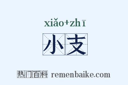 小支是什么意思的图片